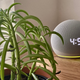Image for article titled Alexa Can Now Proactively Act on Hunches on Its Own
